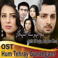 Hum Tehray Gunahgaar_Sahir Ali Bagga,Sara Raza Khan