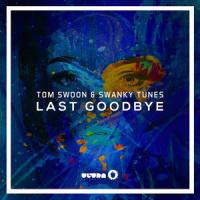Last Goodbye_Tommie Sunshine,The Partysquad