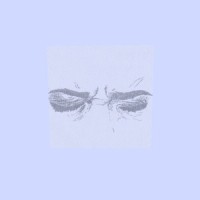 In your eyes (prod. T e e n p r e g n a n c y .)_Scum,VELVETEARS,t een pregnancy.
