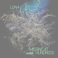 Luna_Missincat,Hundreds