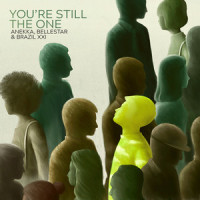You're Still the One_Anekka,Bellestar,Brazil XXI,Robert John Lange,Shania Twain
