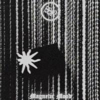Sounds from Another Life_Born from Pain