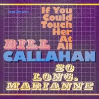 If You Could Touch Her at All_Bill Callahan