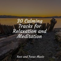 Wet Weather Whispers_Tonal Meditation Collective,Egyptian Meditation Temple,Deep Sleep