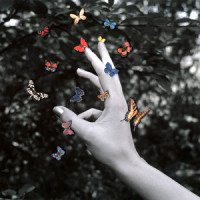 Cellophane(Brain)_Middle Kids