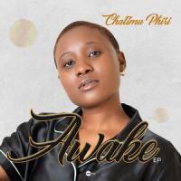Muse ( Interlude)_Chatimu Phiri,Muse,Chishimba Kabwe,Tauya Mambo,Cleiry,Gun House,Indie Alma