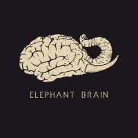 15 Bis_Elephant Brain