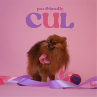 Tonto Corazón_Pet Friendly,May Sunday
