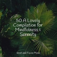 A Time and a Place_Spa,Baby Sleep Lullaby Academy,Relaxation Music Guru