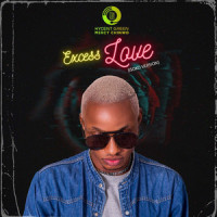 Excess Love_Hycent Green,Mercy Chinwo