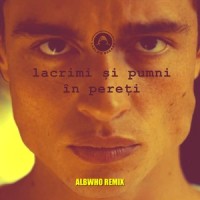 Lacrimi Şi Pumni În Pereţi_Carla's Dreams
