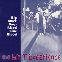 T-Shirt Commercial_The Mr. T Experience