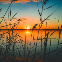 Sad Dawn_Mimix