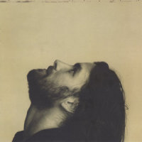Piggyback_Bob Schneider