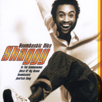 In The Summertime_Shaggy,Rayvon
