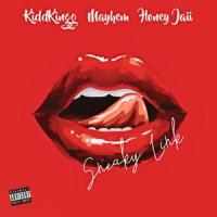 Sneaky Link(feat. Mayhem & HoneyJaii)_KiddKingg,Mayhem,HoneyJaii