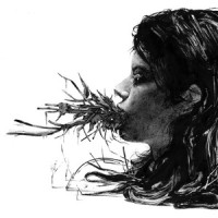 Windmills Of Your Mind_Parenthetical Girls,Michel Legrand