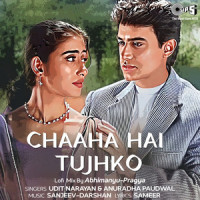 Chaaha Hai Tujhko_Udit Narayan,Anuradha Paudwal