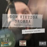 Julefreestyle_Dom Viktiga Skorna