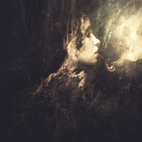 Same Life_Tim Green