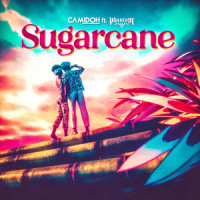 Sugarcane_Camidoh