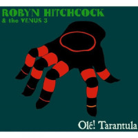 Museum Of Sex_Robyn Hitchcock