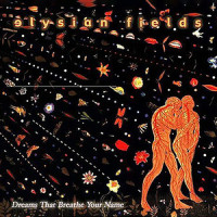 Shooting Stars_Elysian Fields