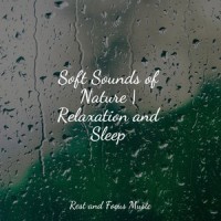 Trance and Zen_Wellness,Study Power,Zen