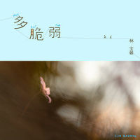 多脆弱_林宝馨