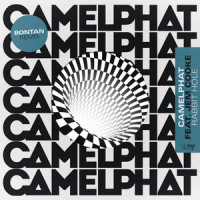 Rabbit Hole_CamelPhat,Jem Cooke