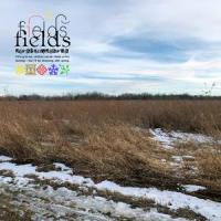 Fields_winter foe,rosarrie