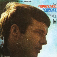 Sunny_Bobby Vee,The Strangers