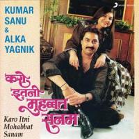 Unse Milke Mera Mann_Alka Yagnik