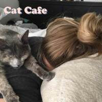 Cat Cafe_Shoffy