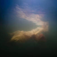 Sparrow_Charlotte Church