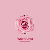 Wandana_King Lotuss,DILU Beats