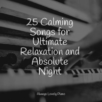 Tranquil Nights_Piano Pianissimo,RPM (Relaxing Piano Music),Klassisk Musik Orkester