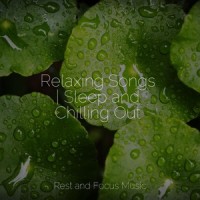 Easy Breeze_Life Sounds Nature,Deep Sleep,Spa Zen