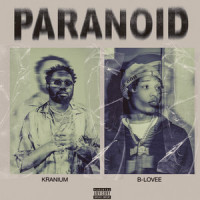 Paranoid (feat. B-Lovee)_Kranium,B-Lovee