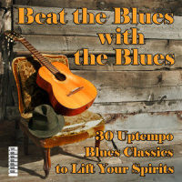 Please Don't_Johnny Shines,Bill Webb,Memphis Slim,Speckled Red