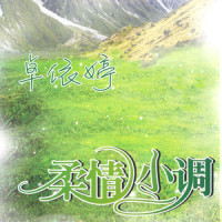凤凰于飞_卓依婷
