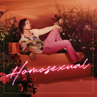 Music Video_Darren Hayes