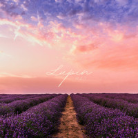 Lupin_Nylon,Cedar