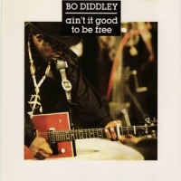 Evil Woman_Bo Diddley
