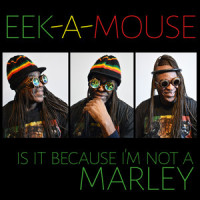 Is It Because I'm Not a Marley_Eek-A-Mouse