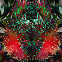 Perception Of The Mind_Melo