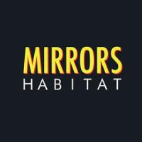Shape Of Your Love_Mirrors