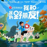 What Should I Do_飞行少年