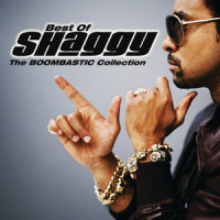 In The Summertime_Shaggy,Rayvon