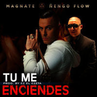 Tu Me Enciendes (feat. Ñengo Flow)_Magnate,Ñengo Flow